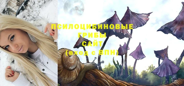 не бодяженный Зерноград
